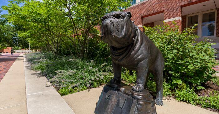 Nominations Open for Faculty and Staff Awards